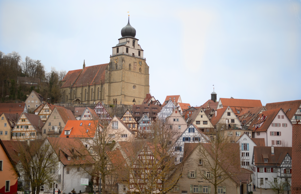 Rathaus Herrenberg smartPerform Software